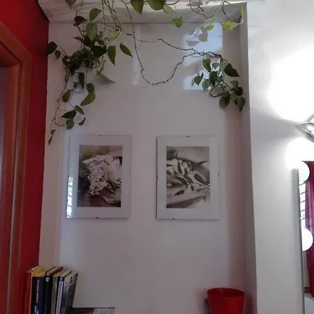 Apartment Casa Mia *